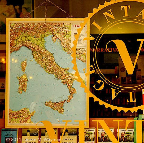 Unearthing the Past: The Art of Collecting Antique Books and Maps-ThisBlueBird