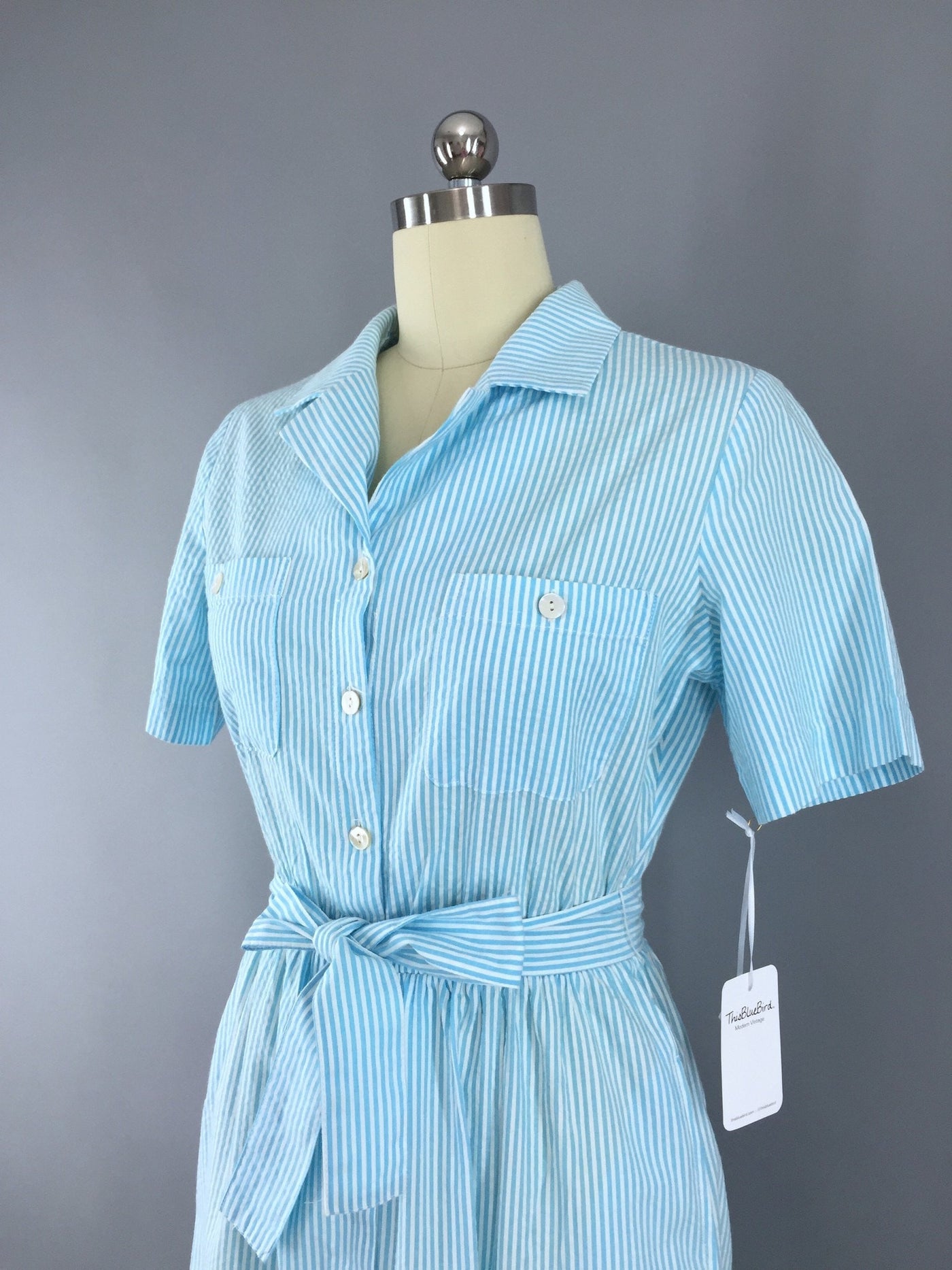 1980s Vintage Blue Striped Seersucker Day Dress - ThisBlueBird